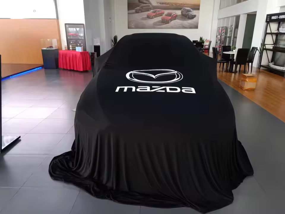 Custom Automotive Covers