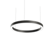Suspended round LED ring light on cords, silver frame with white glowing rim